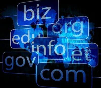 Domain Name Registration & Hosting Process