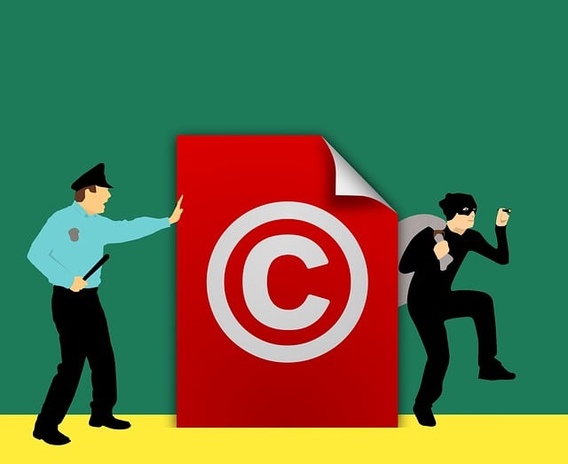 DMCA Copyright protection